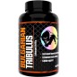 Predator Nutrition Bulgarian Tribulus 90caps