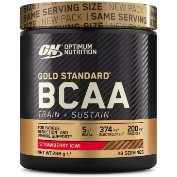 ON BCAA Train + Sustain 266gr | MuscleBody.gr