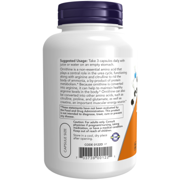 L-Ornithine Now Foods 120caps | MuscleBody.gr