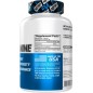 EVL Nutrition Beta Alanine 60caps